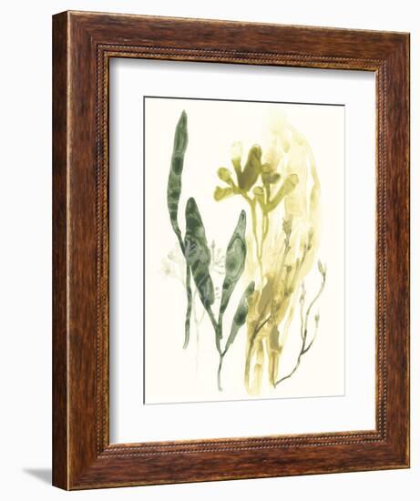 Kelp Collection VI-June Vess-Framed Art Print