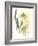 Kelp Collection VI-June Vess-Framed Art Print