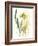 Kelp Collection VI-June Vess-Framed Art Print