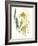 Kelp Collection VI-June Vess-Framed Art Print