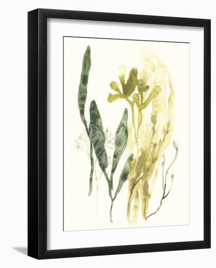 Kelp Collection VI-June Vess-Framed Art Print