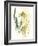 Kelp Collection VI-June Vess-Framed Art Print