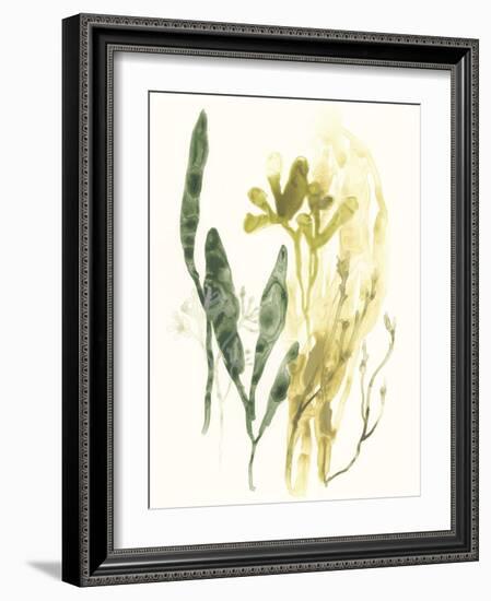 Kelp Collection VI-June Vess-Framed Art Print