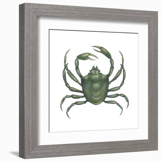 Kelp Crab (Pugettia Producta), Crustaceans-Encyclopaedia Britannica-Framed Art Print