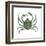 Kelp Crab (Pugettia Producta), Crustaceans-Encyclopaedia Britannica-Framed Art Print