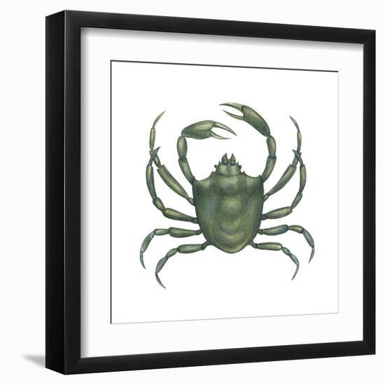 Kelp Crab (Pugettia Producta), Crustaceans-Encyclopaedia Britannica-Framed Art Print