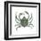 Kelp Crab (Pugettia Producta), Crustaceans-Encyclopaedia Britannica-Framed Art Print