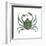 Kelp Crab (Pugettia Producta), Crustaceans-Encyclopaedia Britannica-Framed Art Print