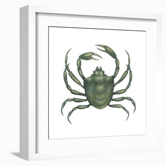 Kelp Crab (Pugettia Producta), Crustaceans-Encyclopaedia Britannica-Framed Art Print