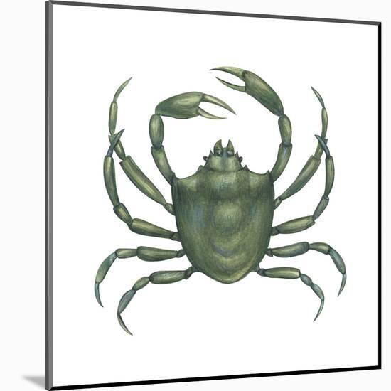 Kelp Crab (Pugettia Producta), Crustaceans-Encyclopaedia Britannica-Mounted Art Print