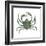 Kelp Crab (Pugettia Producta), Crustaceans-Encyclopaedia Britannica-Framed Art Print