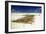 Kelp Farming, Zanzibar-Tony Camacho-Framed Photographic Print