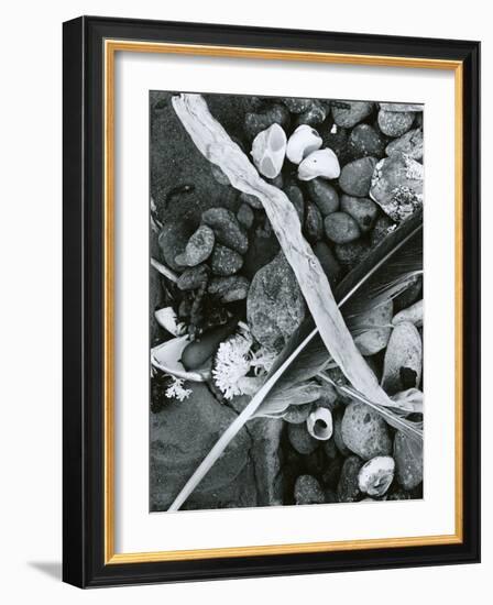 Kelp, Feather, Rock, Carmel Beach, California, 1956-Brett Weston-Framed Photographic Print