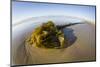 Kelp on Shore, Montana de Oro SP, Central Coast, California-Rob Sheppard-Mounted Photographic Print