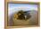 Kelp on Shore, Montana de Oro SP, Central Coast, California-Rob Sheppard-Framed Premier Image Canvas