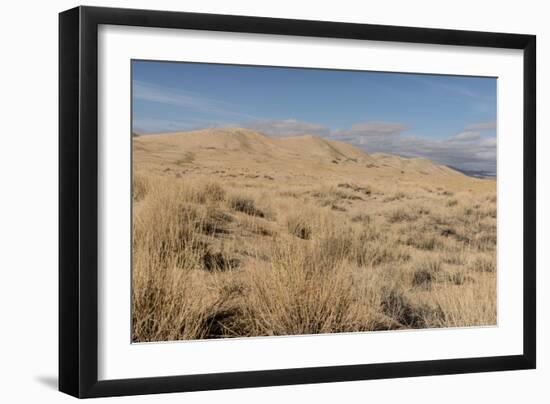 Kelso Dunes, also known as the Kelso Dune Field, the Larges-Carol Highsmith-Framed Photo