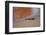 Kemp's Ridley Sea Turtle hatchling-Larry Ditto-Framed Photographic Print