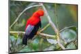 Premium Photographic Print