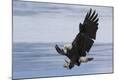 Premium Photographic Print