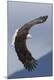Premium Photographic Print