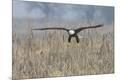 Premium Photographic Print