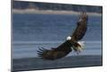 Premium Photographic Print