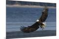 Premium Photographic Print