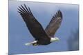 Premium Photographic Print