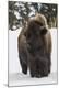 Premium Photographic Print