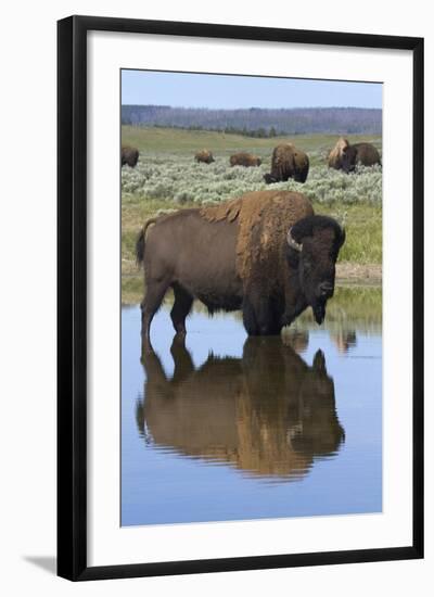 Photographic Print, , large