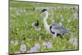 Premium Photographic Print