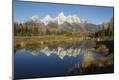 Premium Photographic Print