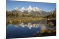 Premium Photographic Print