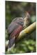 Premium Photographic Print