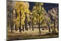 Photographic Print