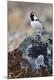 Premium Photographic Print