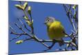 Photographic Print