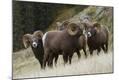 Premium Photographic Print
