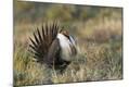Premium Photographic Print