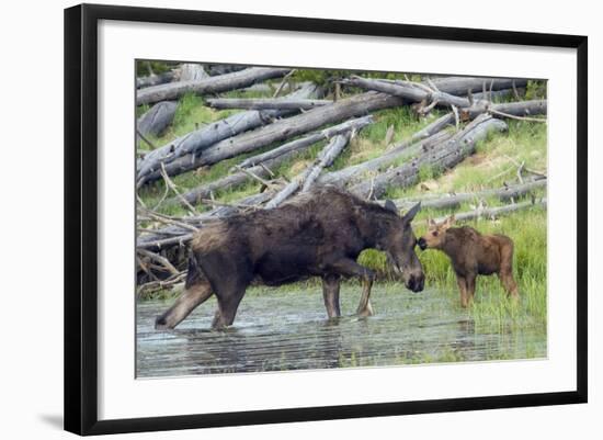 Photographic Print, , large
