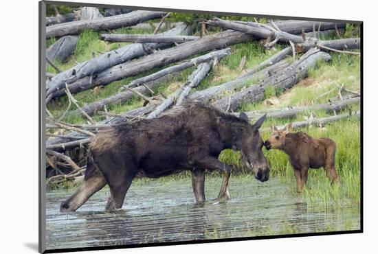 Photographic Print, , large