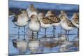 Premium Photographic Print