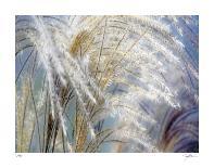 Grass Diptych Right-Ken Bremer-Giclee Print