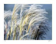 Grass Diptych Left-Ken Bremer-Giclee Print