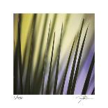 Autumn Color 1-Ken Bremer-Framed Giclee Print