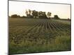 Premium Photographic Print
