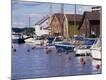 Photographic Print
