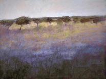 Lavender & Orchard Impression-Ken Hildrew-Framed Stretched Canvas