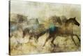 Stretched Canvas Print