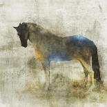 Horses, Beautiful and Free-Ken Roko-Art Print
